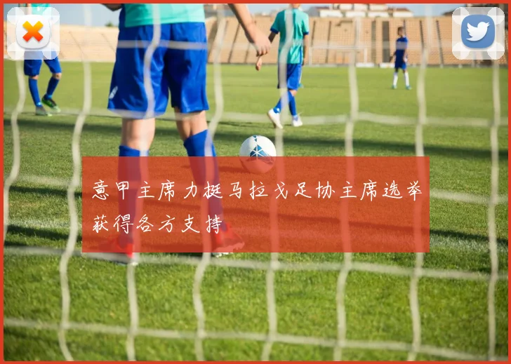 意甲主席力挺马拉戈足协主席选举获得各方支持
